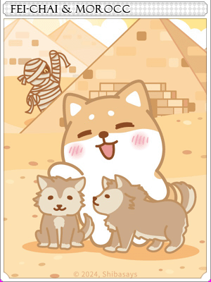 페이차이와 사막도시 카드 illustration