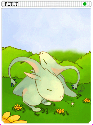 쁘띠 카드 illustration
