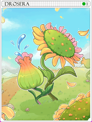 드로세라카드 illustration