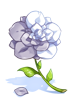 Half Flower