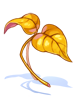 Herosria Yellow Herb