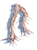 Valuable Plan Root