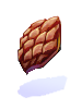 Bark Piece of Maple Tree