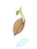 VR Tiny Sprout