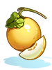 Ripe Golden Melon