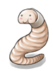 Fleshy Larva