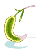 P.Foxtail II