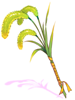 Trial Summoner's Foxtail
