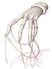 Evil Spirit Glove