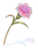 Magical Flower 5Lv