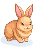 Costume: Orange Rabbit