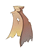 Dawson Cloak
