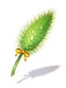 Herosria Summoner Foxtail