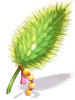 Herosria Foxtail
