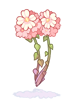 Persica