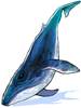 Blue Whale