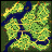 lasa_fild01