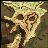 ve_fild02